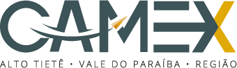 camex logo