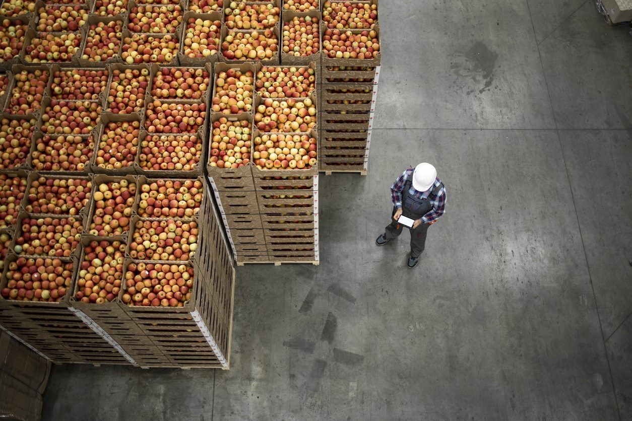 No momento você está vendo Exportação de alimentos: principais documentos e desafios jurídicos