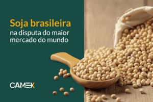 Leia mais sobre o artigo Soja brasileira na disputa do maior mercado do mundo