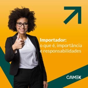 Leia mais sobre o artigo Importador: o que é, importância e responsabilidades