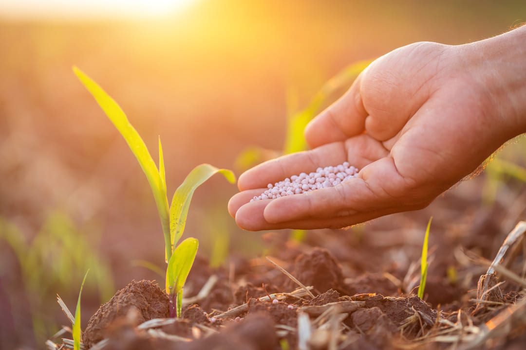No momento, você está visualizando Importação de Fertilizantes no Brasil: tudo o que você precisa saber