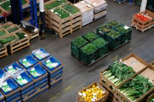 Leia mais sobre o artigo Exportação de produtos orgânicos: normas, certificações e oportunidades de mercado